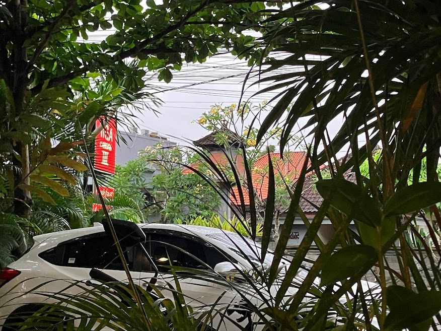 今日は雨なので食べて飲んで