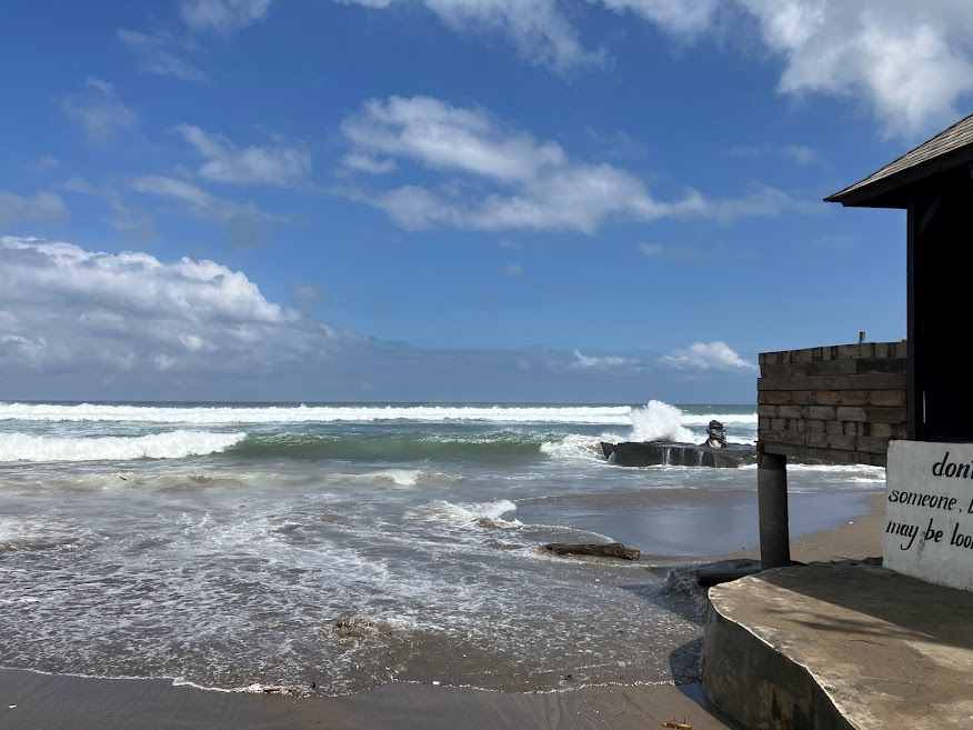 でかすぎて退散、そして食べる。