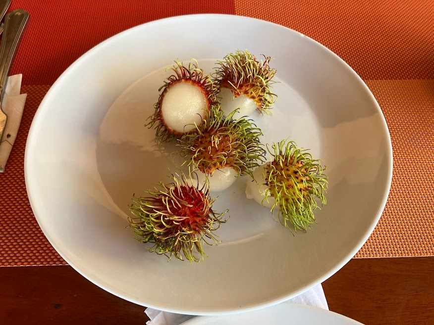 体調戻り最終日