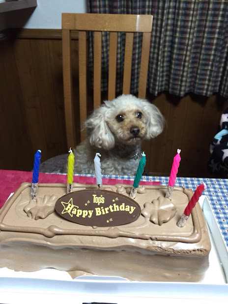 家族が増える事ですね